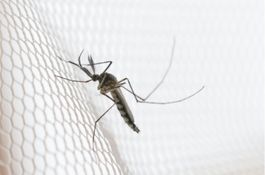 The Puerto Rico Science, Technology & Research Trust and its Vector Control Unit (PRVCU)